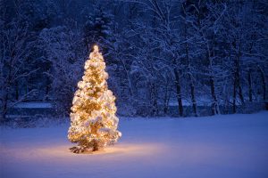 weihnachtsbaum-alpenfriede-hochsoelden